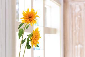 アンティークチックでシャビーな家具を使おう